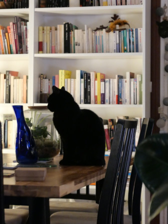 La silhouette noire de Maïa, illégalement le cul posé sur la table, au fond, une des Billy du salon, pleine de livres. Version couleur.