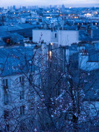 Les lumières de Paris comme points orangés chaleureux dans la lumière bleue de fin de nuit.